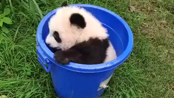 【每日一滚】每天洗眼 